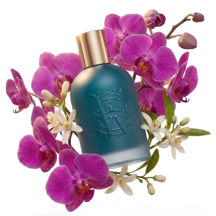 Midnight Orchid